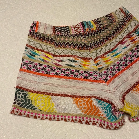 Embroidered Shorts - Picture 2 of 6